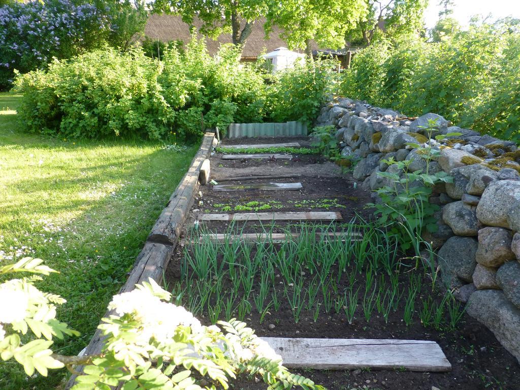 Вілла Jurna Recreation Farm Upa Екстер'єр фото